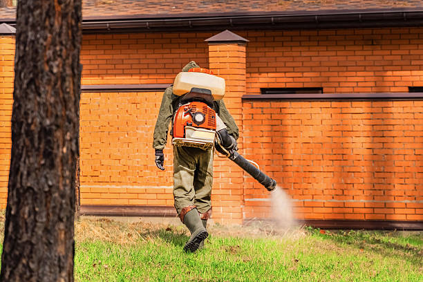 Top rated local Wasp Removal specialists in Montgomery City, MO